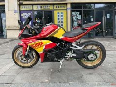 Kayo 321RR 320 cc - фото 3