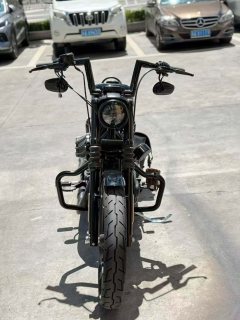 Harley-Davidson Iron883 Tough Guy - фото 4