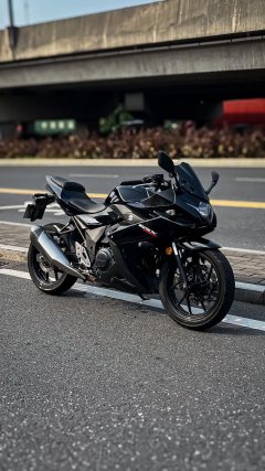 Haojue Suzuki GSX250R - фото 1