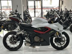 QJMOTOR SRK 250 - фото 3