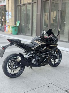 Kayo 250RR Thornbird - фото 2