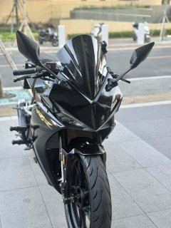 Kayo 250RR Thornbird - фото 4