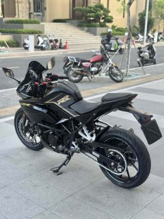 Kayo 250RR Thornbird - фото 8