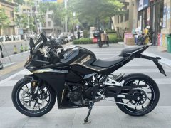 Kayo 250RR Thornbird - фото 9