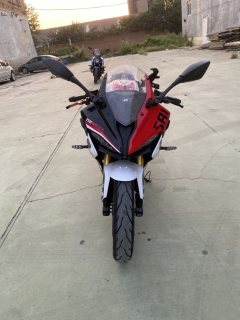 QJMOTOR SRK 250 - фото 2