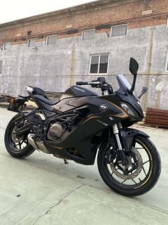 QJMOTOR SRK 250 - фото 3