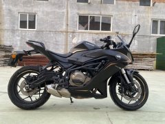 QJMOTOR SRK 250 - фото 5