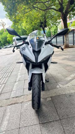 QJMOTOR SRK 250 - фото 2
