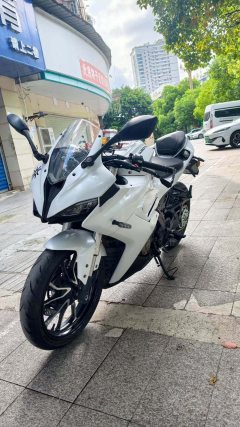 QJMOTOR SRK 250 - фото 3