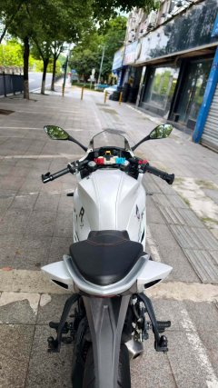 QJMOTOR SRK 250 - фото 9