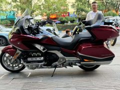 Honda Gold Wing GL1800 - фото 4