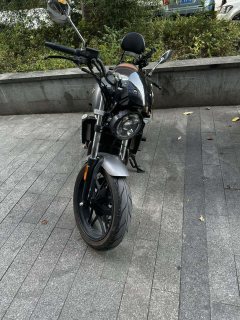 Cyclone RE250 - фото 3