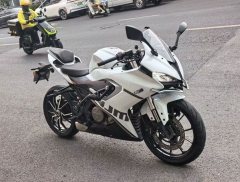 QJMOTOR SRK 250 - фото 1
