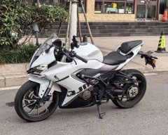 QJMOTOR SRK 250 - фото 2