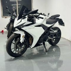 Kayo 250RR Thornbird - фото 3