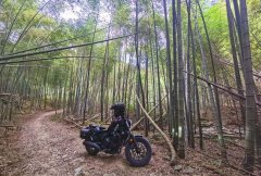 Honda CM500 - фото 4