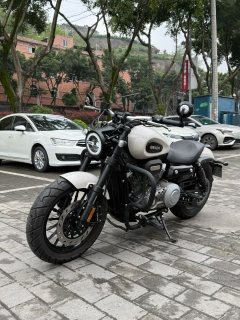 Benda Challenger 300 - фото 1