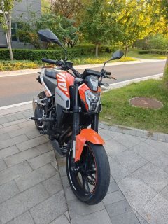 Kayo Cobra 321R 320 cc - фото 1