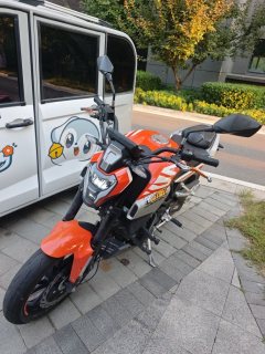 Kayo Cobra 321R 320 cc - фото 2