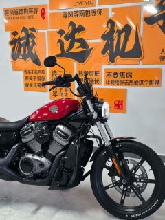 Harley-Davidson Nightster 975 cc - фото 6