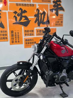 Harley-Davidson Nightster 975 cc - фото 8