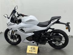 QJMOTOR SRK 250 - фото 4
