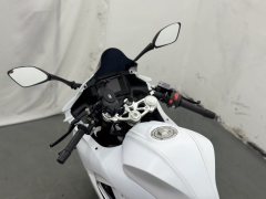 QJMOTOR SRK 250 - фото 5