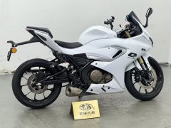 QJMOTOR SRK 250 - фото 6