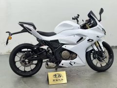 QJMOTOR SRK 250 - фото 7