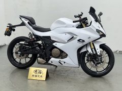 QJMOTOR SRK 250 - фото 9