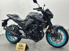 Yamaha MT-03 320 cc - фото 6
