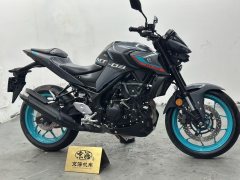 Yamaha MT-03 320 cc - фото 7
