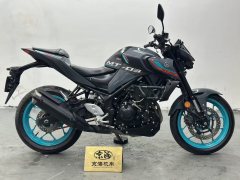 Yamaha MT-03 320 cc - фото 8
