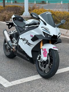 Zhangxue Motorcycles 820RR - фото 4