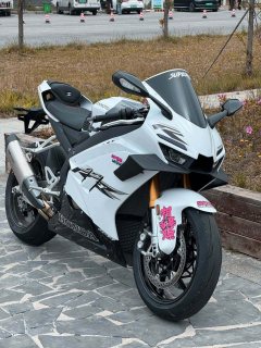 Zhangxue Motorcycles 820RR - фото 6