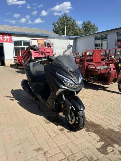 QJMOTOR Hong 250 - фото 1