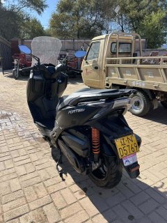 QJMOTOR Hong 250 - фото 4