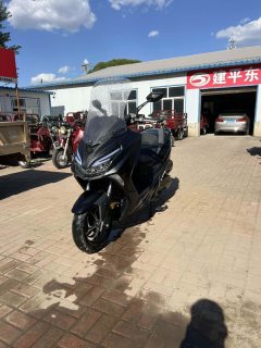 QJMOTOR Hong 250 - фото 6