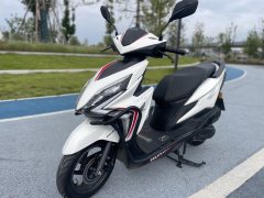 Sundiro Honda SDH125T-31 - фото 1