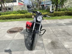 QJMOTOR 250 - фото 2