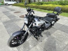 QJMOTOR 250 - фото 5