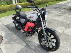 QJMOTOR 250 - фото 6