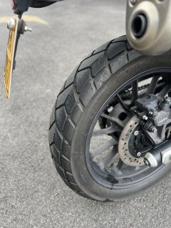 Honda CL300 - фото 8