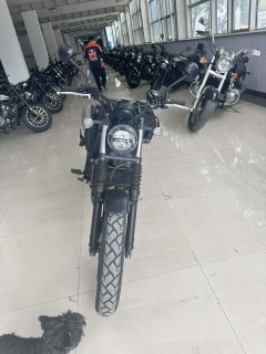 Honda CL300 - фото 2