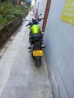 Benelli TNT 300 / BN 302S - фото 4