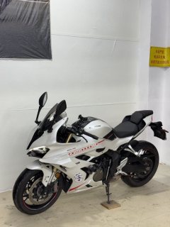 QJMOTOR Sai 600 680 cc - фото 6