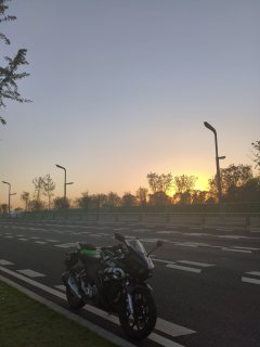 Dayun Tianxun 200R - фото 4