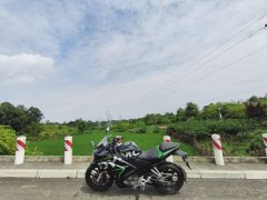 Dayun Tianxun 200R - фото 7