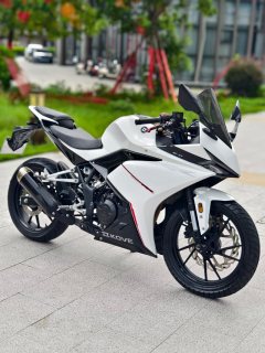 Kayo 250RR Thornbird - фото 1