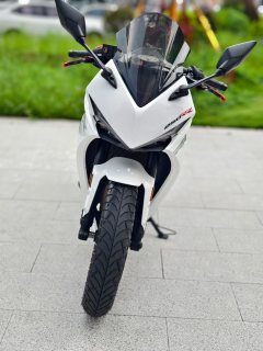 Kayo 250RR Thornbird - фото 2